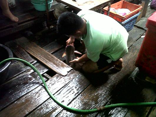 จับได้แว้ว...  ขึ้นมาซะดีดี :laughing: :laughing: :laughing:

IMG00795-20111007-1149