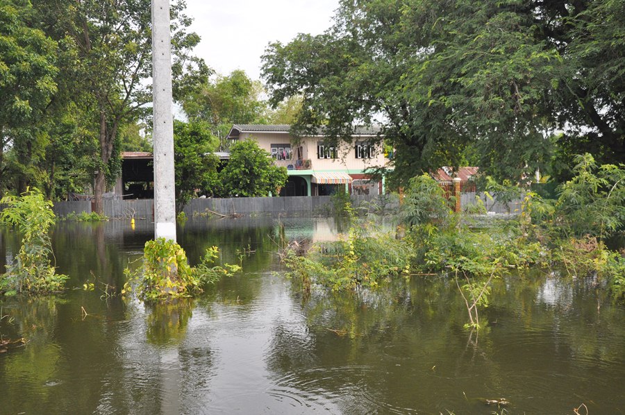 หลังเลิกงานมาอีกครับ  สภาพบ้านเรือนผู้ประสบภัยครับ เห็นแล้วหน้าสงสารครับ
!!!มีลูกคอกหนี้เข้าไปในบ้า