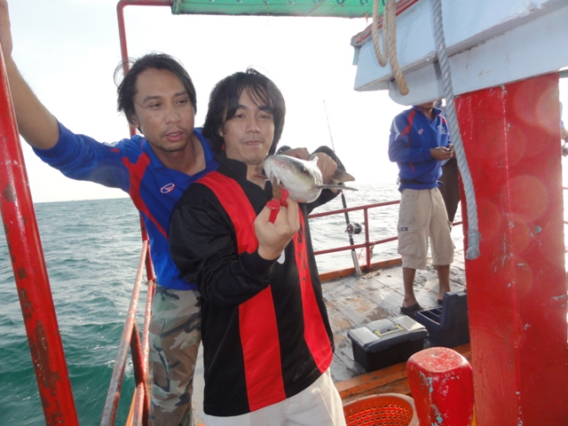 ช่อนทะเลเหมือนกัน
 :laughing: :laughing: :laughing: :laughing: :laughing: :laughing: