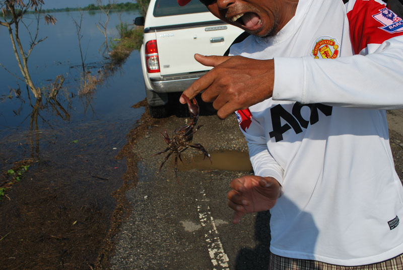 


ลากันด้วยภาพนี้นะครับ


ขอบคุณเพื่อนๆทุกท่านที่เข้ามาทักทาย...ช่วงนี้ งานยุ่งจริงๆครับ


