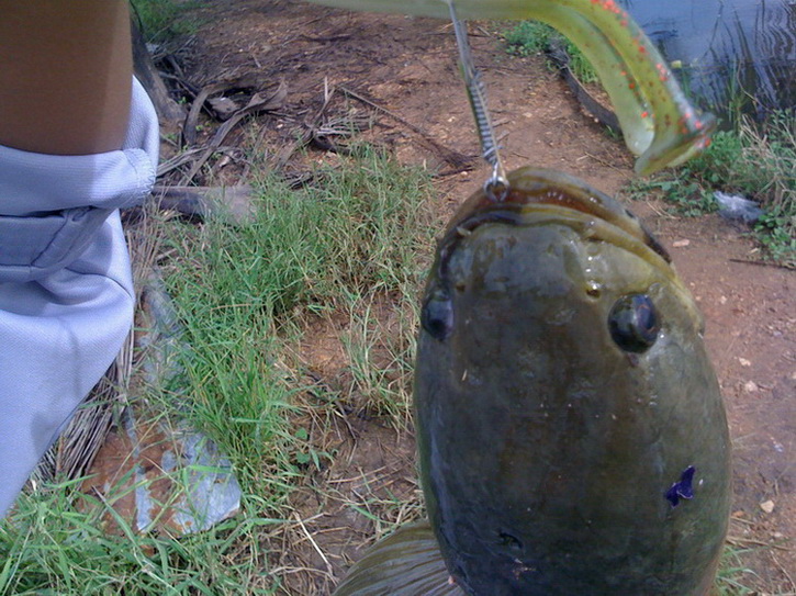 เต็มๆ ครับ  :grin: