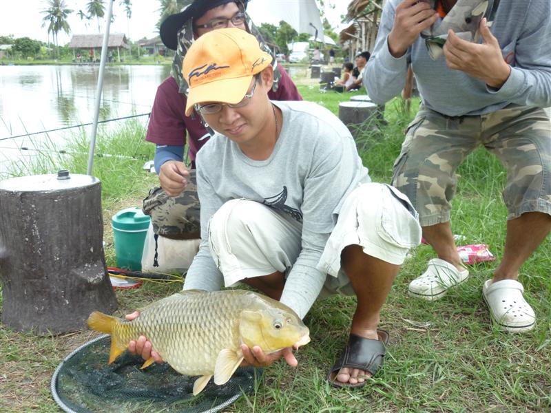 มันเป็นโทรฟี่ตัวแรกของทริปและเป็นโทรฟี่เจ้าหมูน้ำที่ใหญ่ที่สุดของเล้งทันที  

                    