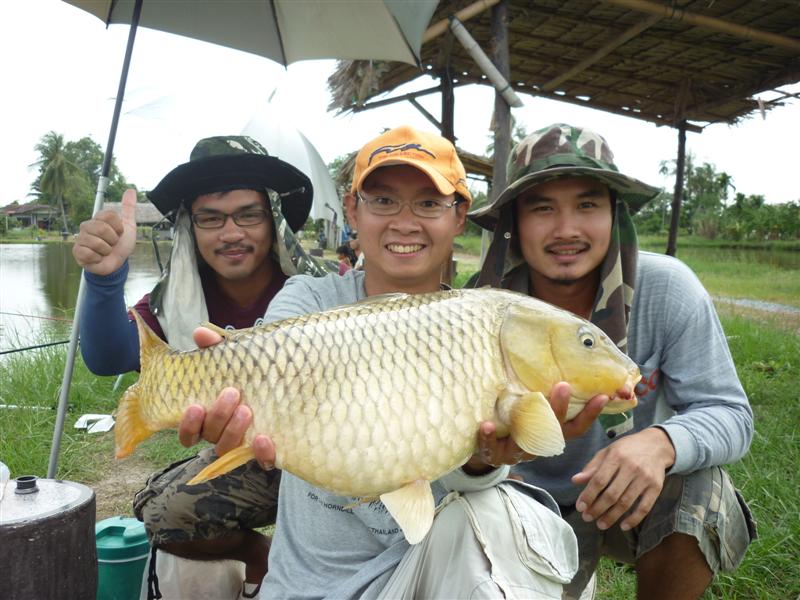 ตัวเท่านี้ล่ะครับ หล่อเลย โทรฟี่ตัวแรกของทริปครับ   :love: :heart: