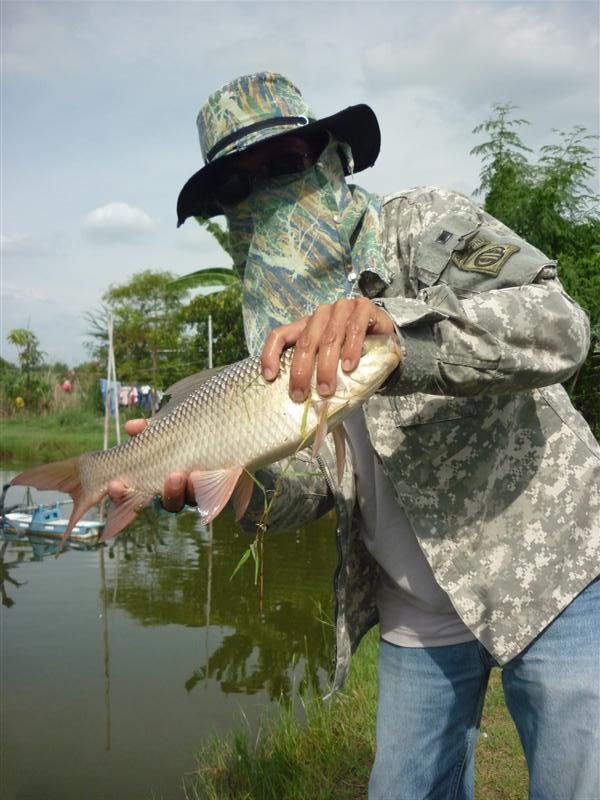 พอได้มันส์