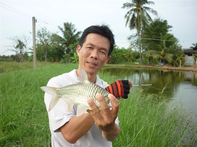 เจ้าเพียนครับ