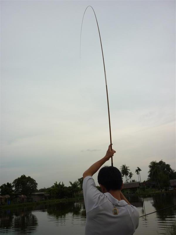 มันเข้ากันเป็นฝูงครับ