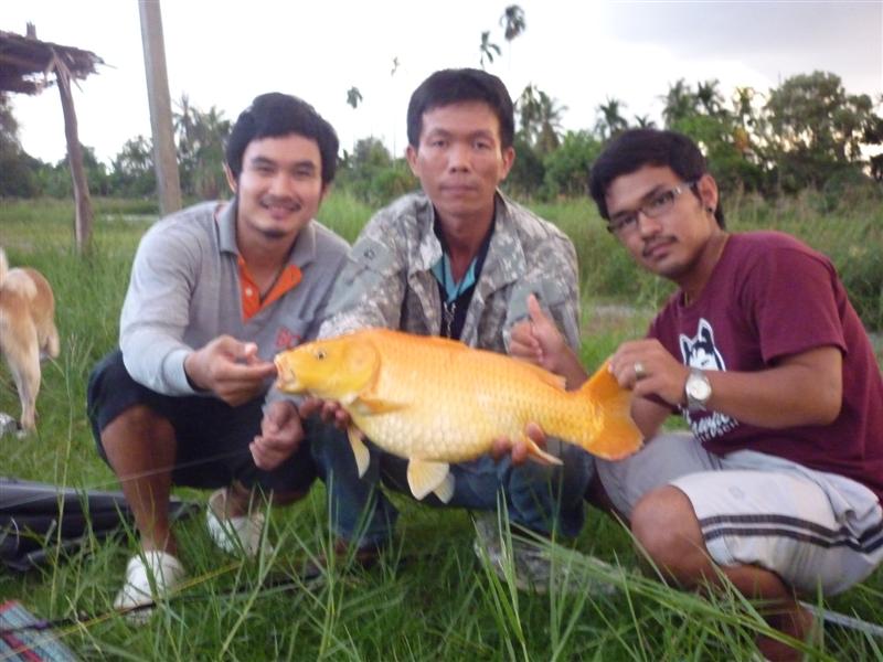 แสงเหลือน้อยครับถ้ามือไม่นิ่งภาพยิ่งเบลอ