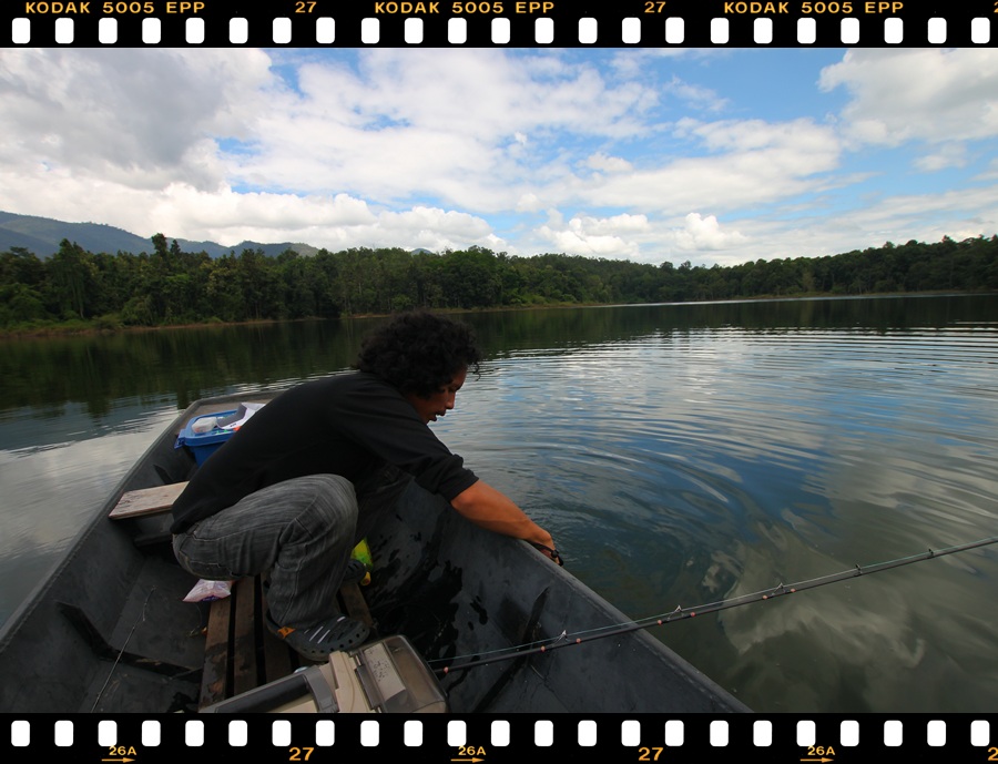 ถ่ายรูปเสร็จก็ปล่อยให้มันไปเลี้ยงลูกน้อยต่อค่ะ :grin: :grin: :grin: