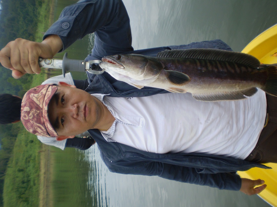  :laughing: :laughing: :laughing: :laughing: :laughing: :laughing: