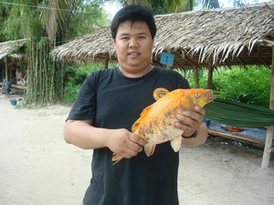 ตัวอ้วนๆแบบนี้ป่าวน้าใหญ่คร๊าฟ  :grin: :grin: