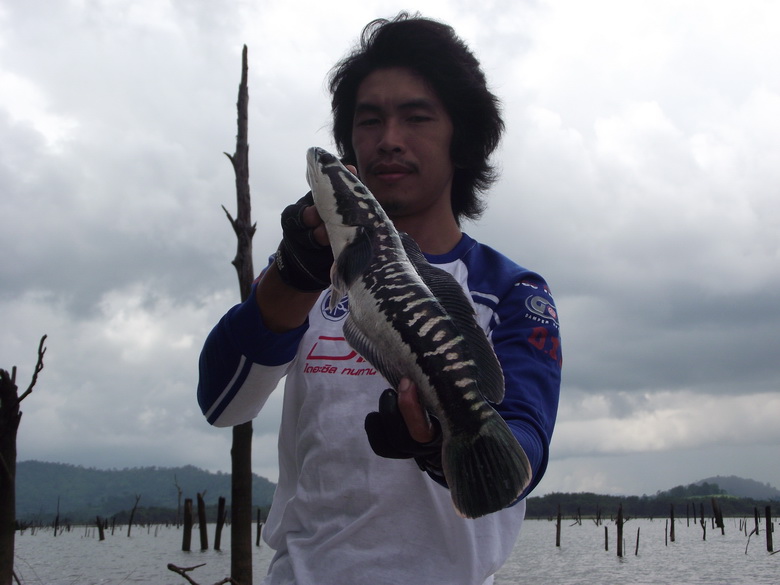 จัดฉากให้ดูใหญ่หน่อย :grin: :grin: :grin:
