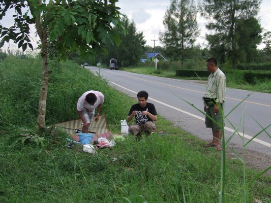 แต่วันนั้นทุกคนสามัคคีกันกินแห้วครับ :laughing: :laughing: :laughing: