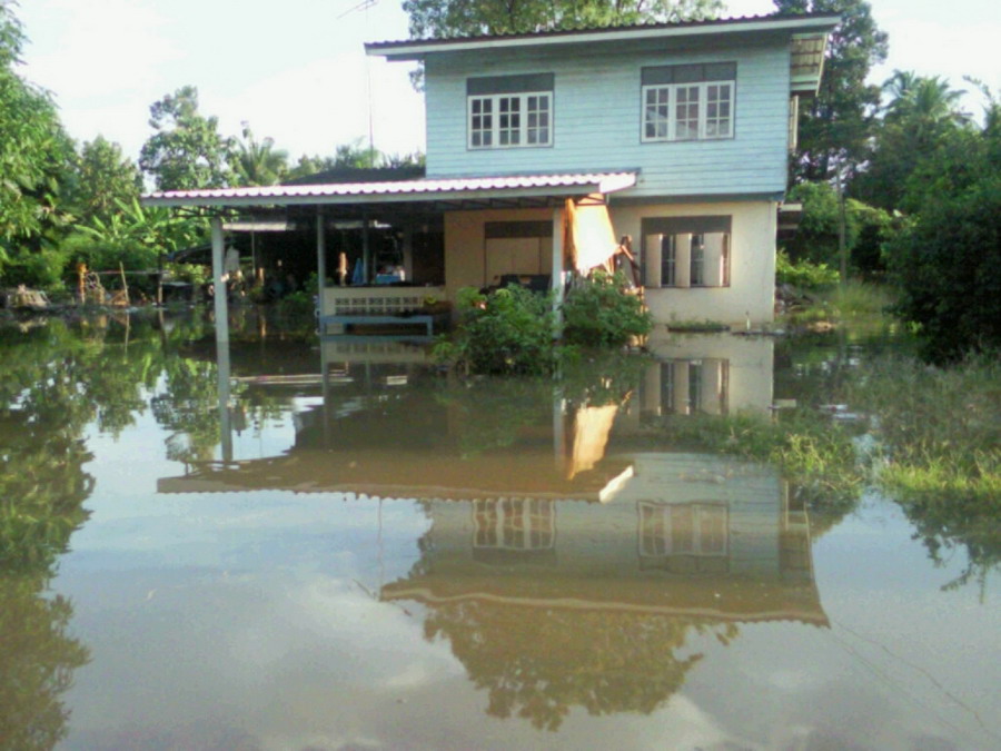 จากทางแยกปากทางหมู่บ้านเข้าไป หนึ่งกิโลเมตร
ว่าพื้นที่อยู่สูงกว่าเพื่อนบ้านยังโดน
เพื่อนบ้านไม่ต้อ