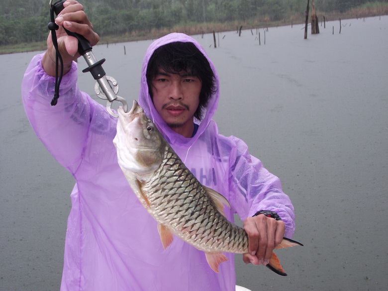 ฝนตกก็ยังได้อยู่ :grin: :grin: :grin: