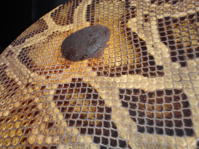 หนังกลองยาว ปัจจุบัน หาชมได้ยากแล้ว