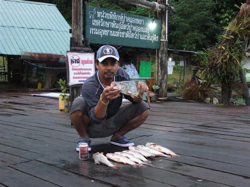 ส่วนคนนี้เกือบกินแห้วในวันแลกได้ 1 (แต่วันหลังเขาจัดหนักคนเดี่ยวเลย) :laughing: :laughing: