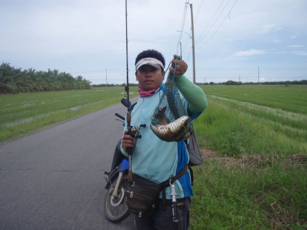 ของผมขอรับ