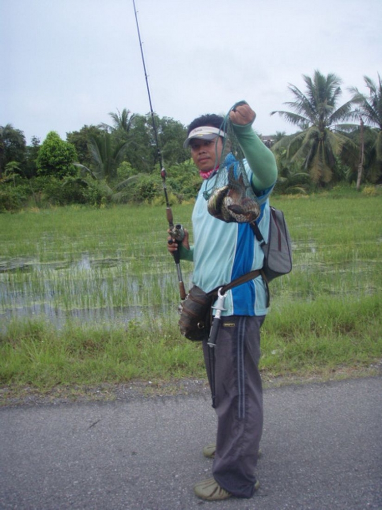 จะมีเพิ่มมั้ยน้อ :laughing: :laughing: :laughing: