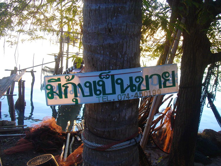 แวะเอากุ้งเป็นที่เกาะยออะคร๊าบบบ...................  :love: :grin: