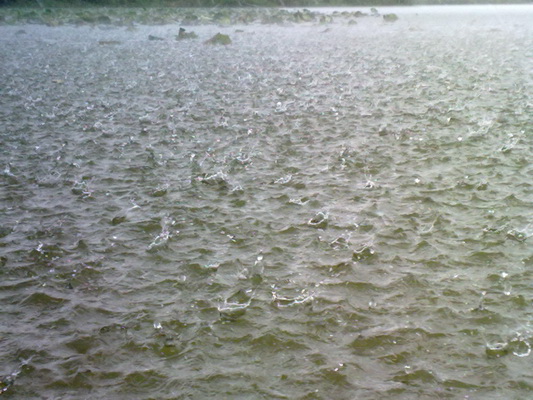 ฝนตกมาซะแรงเลย ลมอีกแรงไม่แพ้กันเลย :grin: