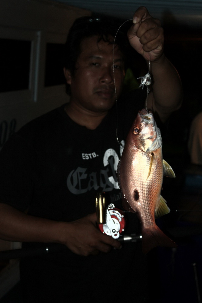 [b][center]ข้างปานตัวนี้นี่เอง[/center][/b]