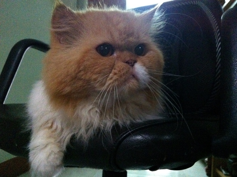 [q][i]อ้างถึง: svfishing posted: 12-10-2554, 14:16:53[/i]

ป๊าดดดดดดดดดดดดดดด ลืมมองปลา ได้เยอะนะเ