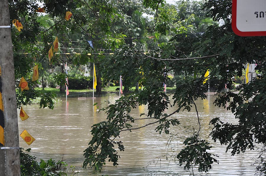 บริเวณสถานที่จัดงานปล่อยปลา น้ำเริ่มมาแล้ว ถึงวันงานคงท่วมแน่นอน เพราะตอนนี้ทางวัดมุลจินดารามได้เฝ้า