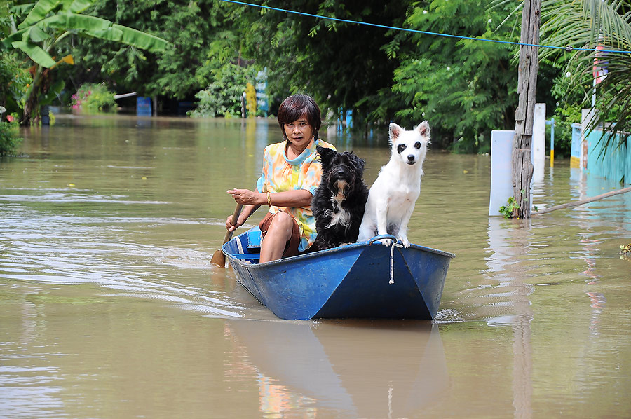 ป้าท่านนี้พาหมามาทำไมเนี่ยยยยยยยยย :ohh: :ohh: :ohh: