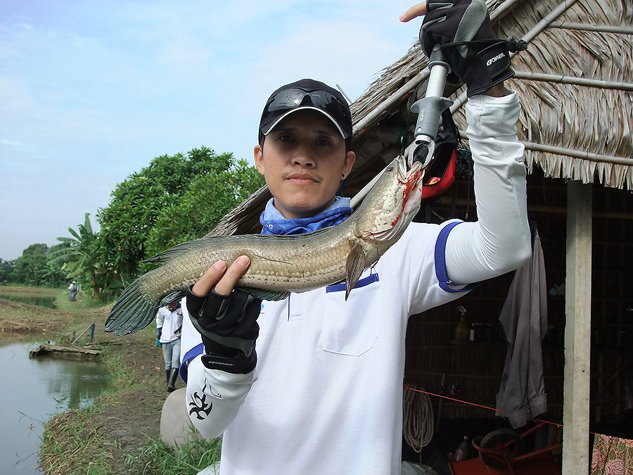 [b]เดินมาเจอ น้าหนึ่งปลายาง อีกครั้งแล้วครับ แกได้ตัวอีกแล้วครับ ขวีมือ อิอิ[/b]
 :cool: :cool: :co
