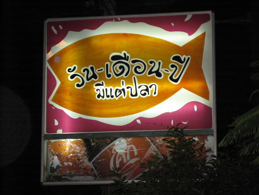 ทริปนี้ เรามาตั้งหลักกันที่ร้าน พี่ชายที่แสนดี ร้านของพี่ตั้ม "ร้าน วัน เดือน ปี มีแต่ปลา" ครับ เป