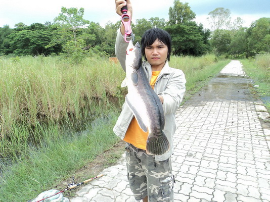 ปิดท้ายด้วย รูปที่3
 :smile: :smile: :smile: :smile: :smile: :smile: