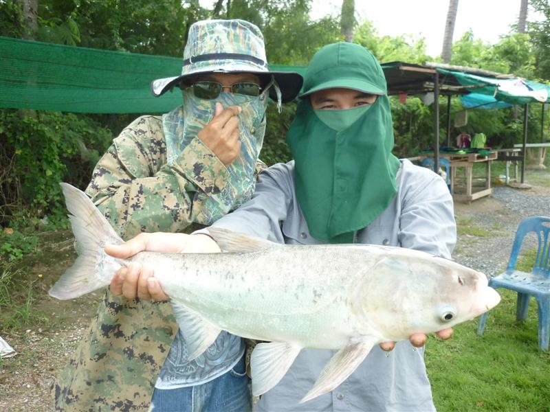 อี๋..... :ohno: :laughing: