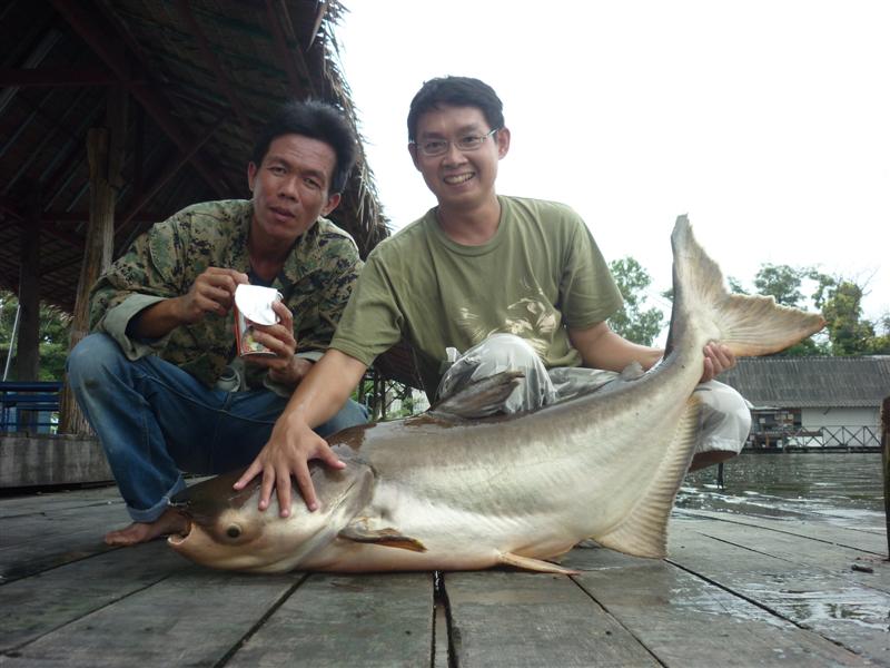 อา...จัดกันไป ขอผมกินก่อนตัวเดียวหิวเลย  :laughing: