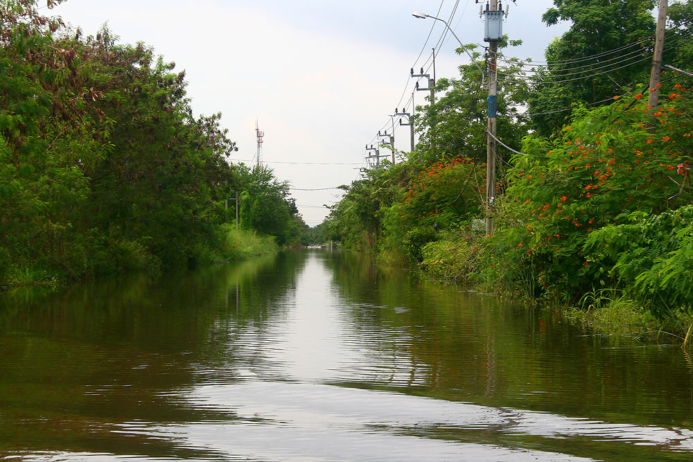 บางซอยดูแล้วเหมือนคลองมากกว่าถนนครับ  :sad:  แต่ก็ดีครับ  หลิวได้จากหน้าบ้านเลย  :laughing: