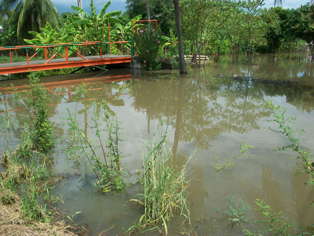 สถานการณ์น้ำที่พานทองคับเริ่มปริ่มแล้วคับ :frown: :frown: :frown: