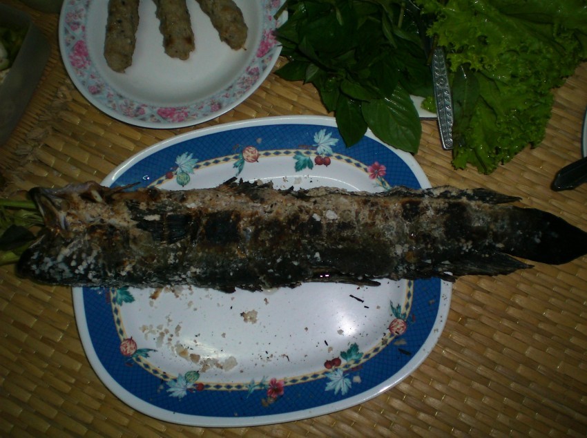 มาถึงบทสรุบของผลงานวันนี้ช่อนนาย่างเกลือ :cheer: :cheer: :cheer: :cheer: