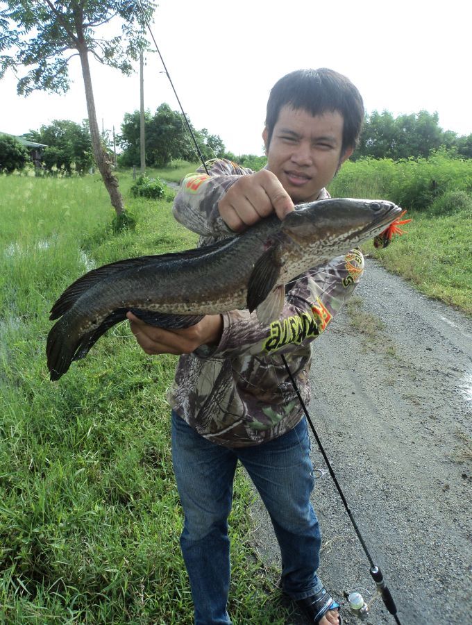 อีกรูป  :laughing: :laughing: :laughing: