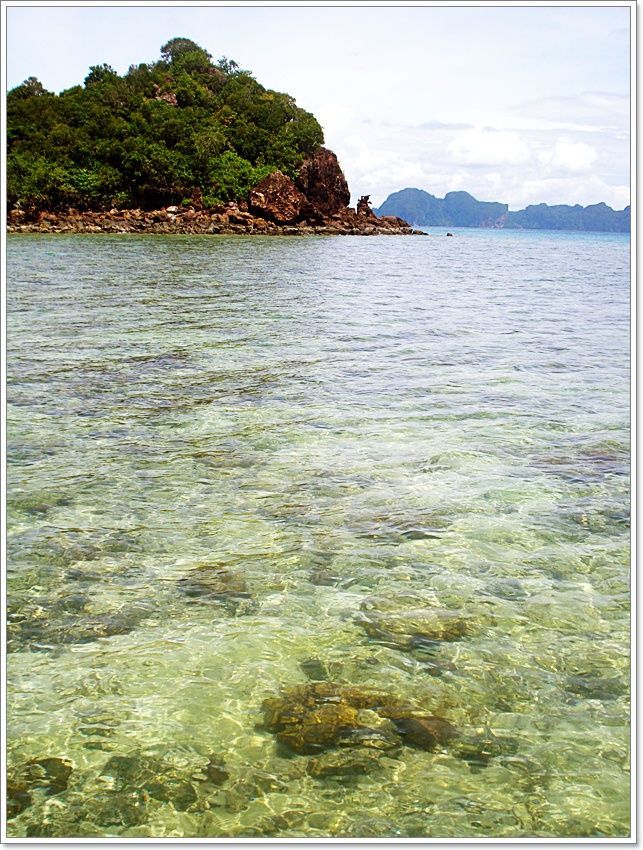  [b]แนวหินอย่างที่เห็น...ปลาเก๋าหลากชนิด ปลากระพง-เบบี้ ฯ มากมาย

โดยเฉพาะ การลุยน้ำเดินตีเหยื่อยา