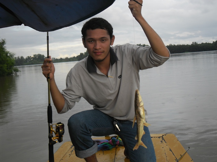 ว้ากลับเป็นปลากดเหลืองได้ไงว้า คิดว่าหางกิ่ว :smile: