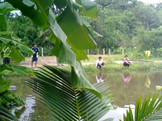 นี้คนงานพ่อผม  ฝนตกเลยให้มาปลูกกล้วย   :grin: :grin: