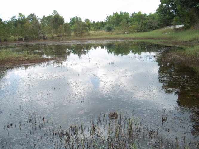 กินข้าวเสร็จ "น้าบอย"ก็ขอตัวกลับก่อน กินข้าวมีแรงตีต่อแล้วนี่ แล้วผมกับเจ้าเพื่อนก็มาดวลกันต่อที่ห