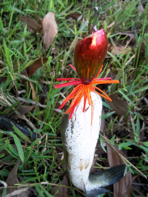 เหยื่อใครหว่า? ดูเอาเองนะครับ เกิดมาทีหลังแต่ก็เทพได้เหมือนกันครับ :grin: :grin: :grin: