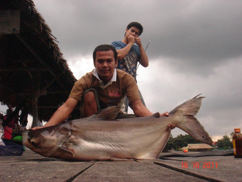 อันนี้ครับ รูปตะกี๊ลงผิด   :laughing:    :grin: :grin: