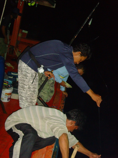 เด็กเรือกำลังเกี่ยว


