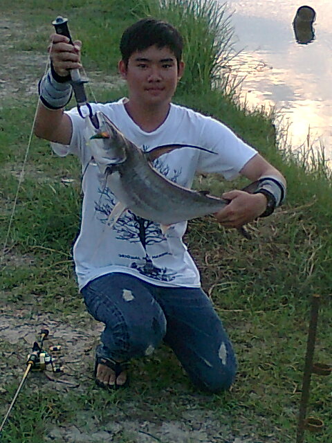 เทพาประทะกระพง@freestyle fishing