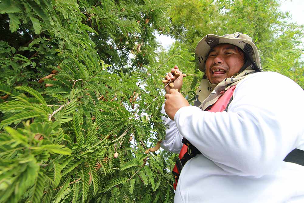 ไม่ได้ขโมยนะ ขอแล้ว แบบว่าท้ายเรือมันปัดเข้าไปอ่ะ  :grin: