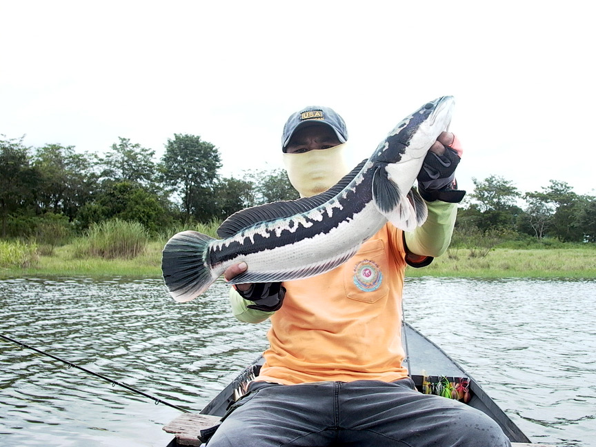 [q][i]อ้างถึง: Mong_Actionlure posted: 20-10-2554, 17:57:00[/i]

+ตามมาชมด้วยคนคร๊าบบบบบบบ :grin: 