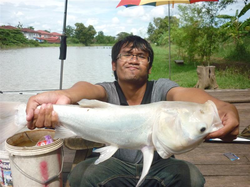 เจ้าเล่ง ขาวจั๊ว......
