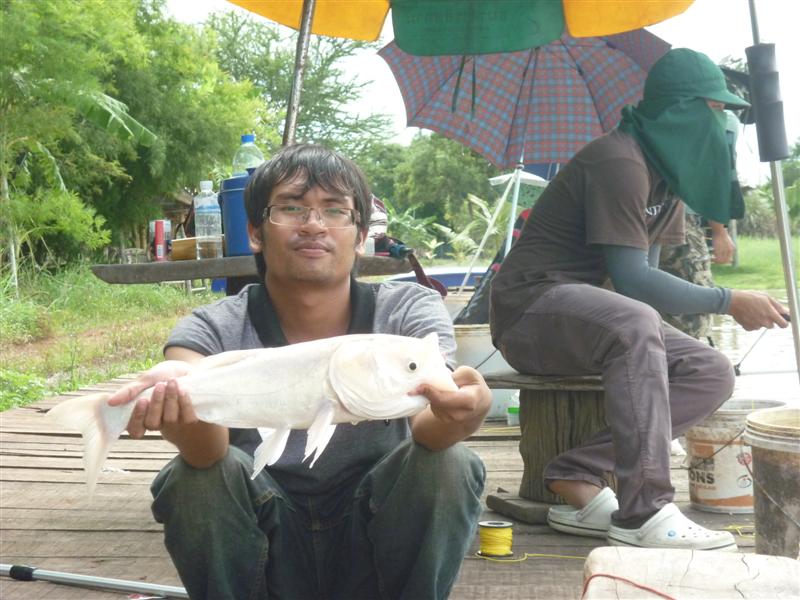 เป็นเจ้าเล่งอีกตัว