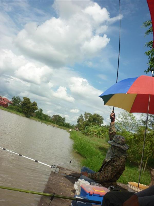 ตามมาติดติดอีกฟับ ! 